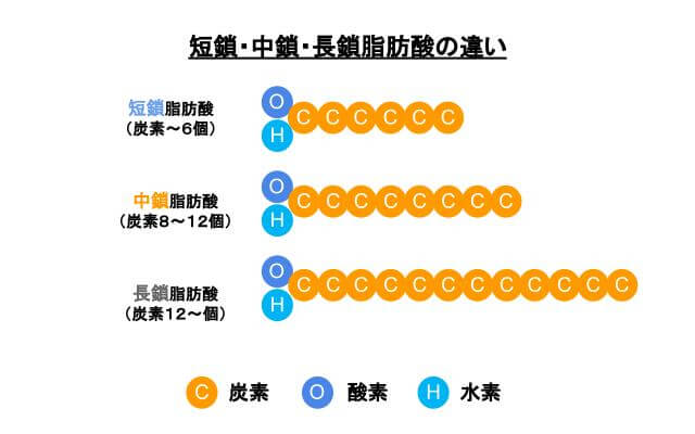 differences-between-short-chain,medium-chain,long-chain-fatty-acids