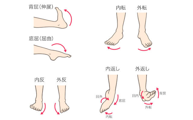 ankle-movement